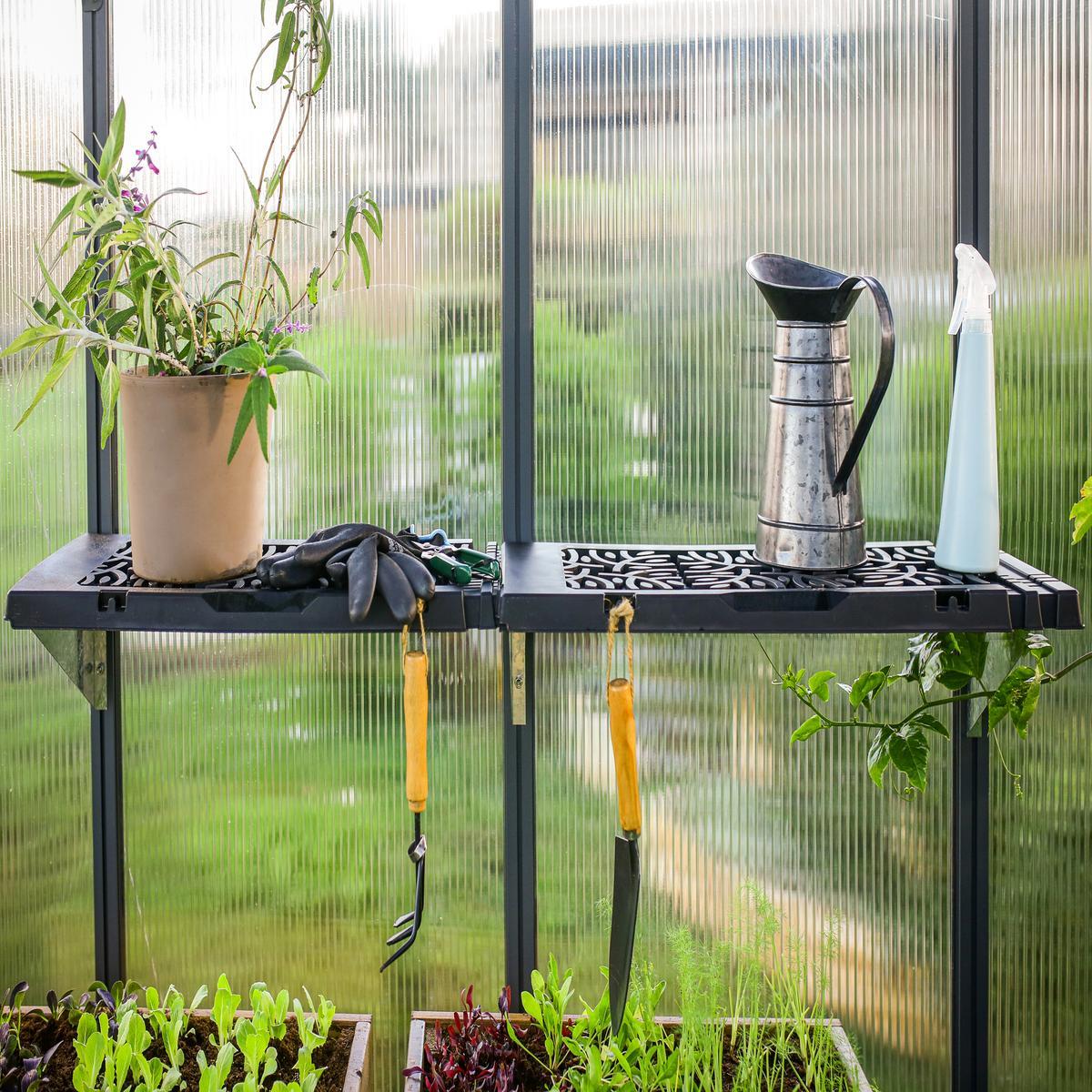 Palram - Canopia | Shelf Kit for Most Canopia Greenhouses - CANOPIA LEAVES