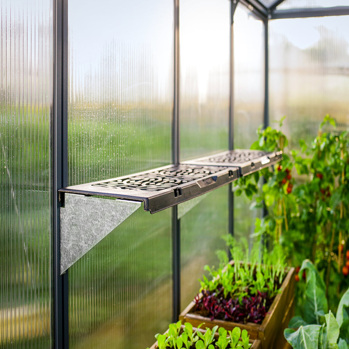 Palram - Canopia | Shelf Kit for Most Canopia Greenhouses - CANOPIA LEAVES