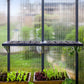 Palram - Canopia | Shelf Kit for Most Canopia Greenhouses - CANOPIA LEAVES