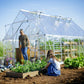 Palram - Canopia | Balance Greenhouse Kit With Clear 0.8mm Polycarbonate Glazing