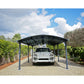 Palram - Canopia | Arcadia 5000 Carport 12x21x8 ft
