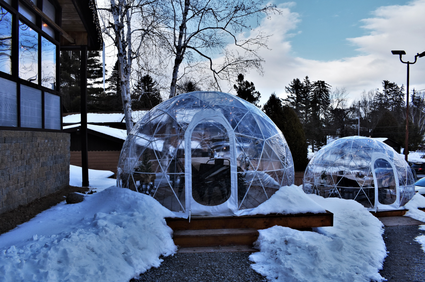 Garden Igloo | Dome Winter Garden Replacement Cover V2