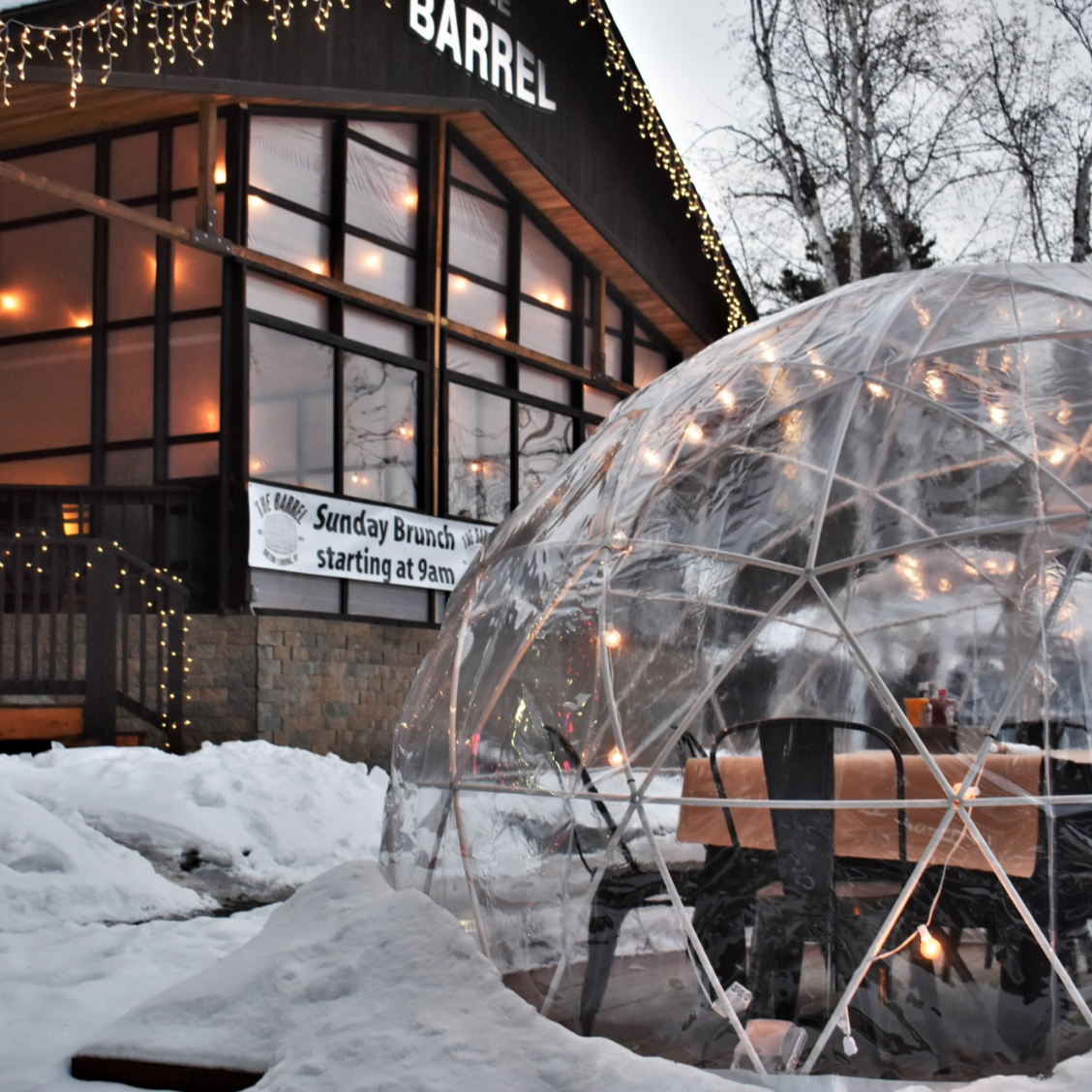 Garden Igloo | Dome, PVC, 11'9"W, 7'2"H - Outdoor Dining, Play Area for Children, Stylish Conservatory, Greenhouse, Gazebo