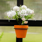 Vego | 6in Flower Pot Hanger - 3 Pack