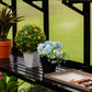 Vego | Fixed Bottom Shelf for Greenhouse