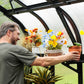 Vego | Fixed Top Shelf for Vego Greenhouses - MyGreenhouseStore.com