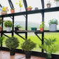 Vego | Fixed Top Shelf for Vego Greenhouses - MyGreenhouseStore.com