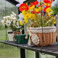 Vego | Foldable Shelf for Vego Greenhouses - MyGreenhouseStore.com
