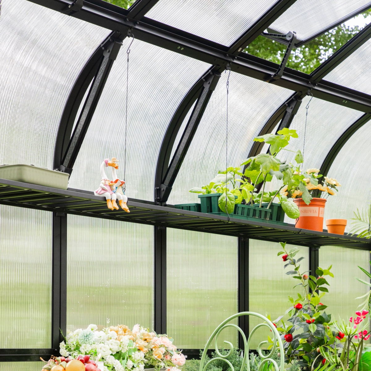Vego | Foldable Shelf for Vego Greenhouses - MyGreenhouseStore.com