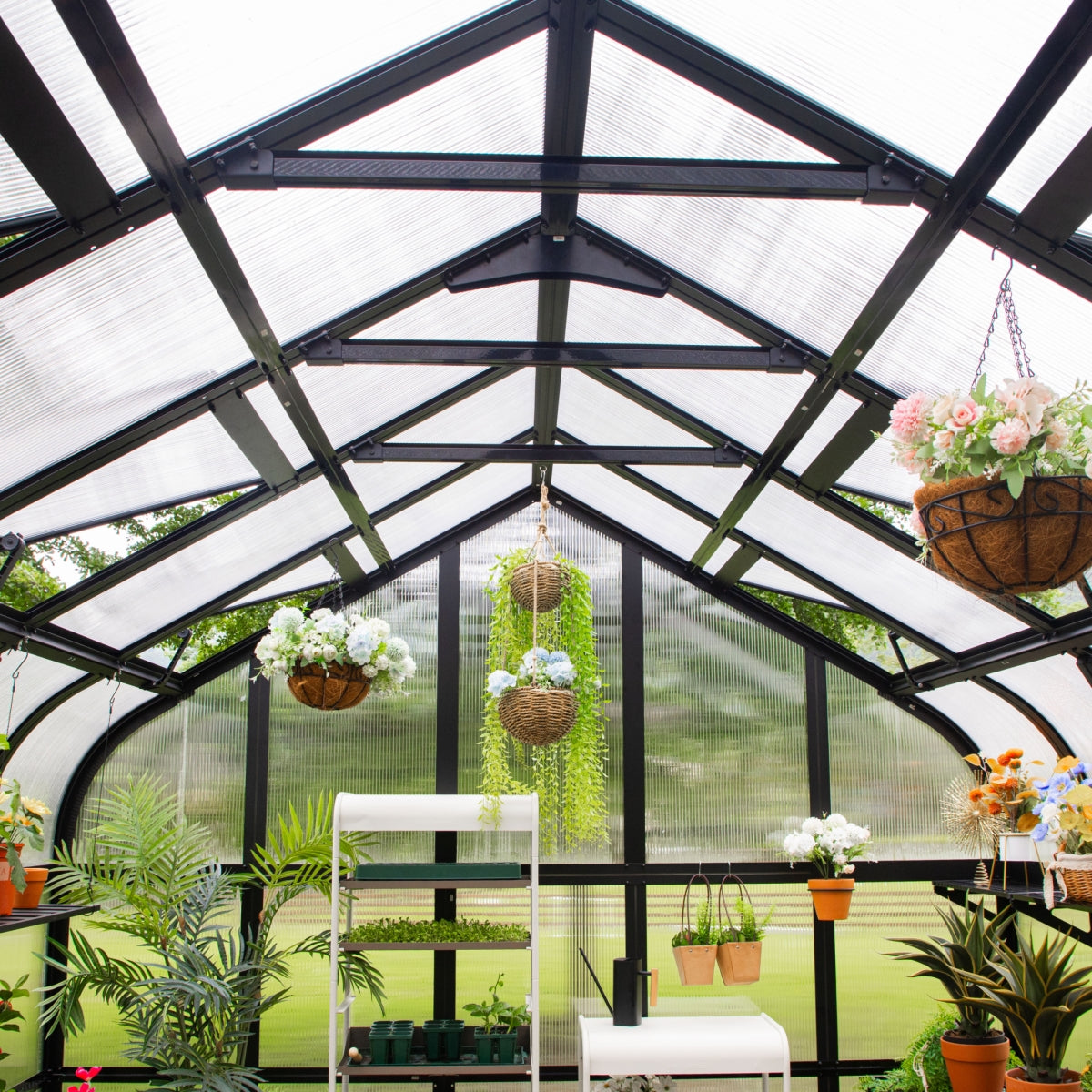 Vego | Pacific Greenhouse Kit 10ft 6in Wide