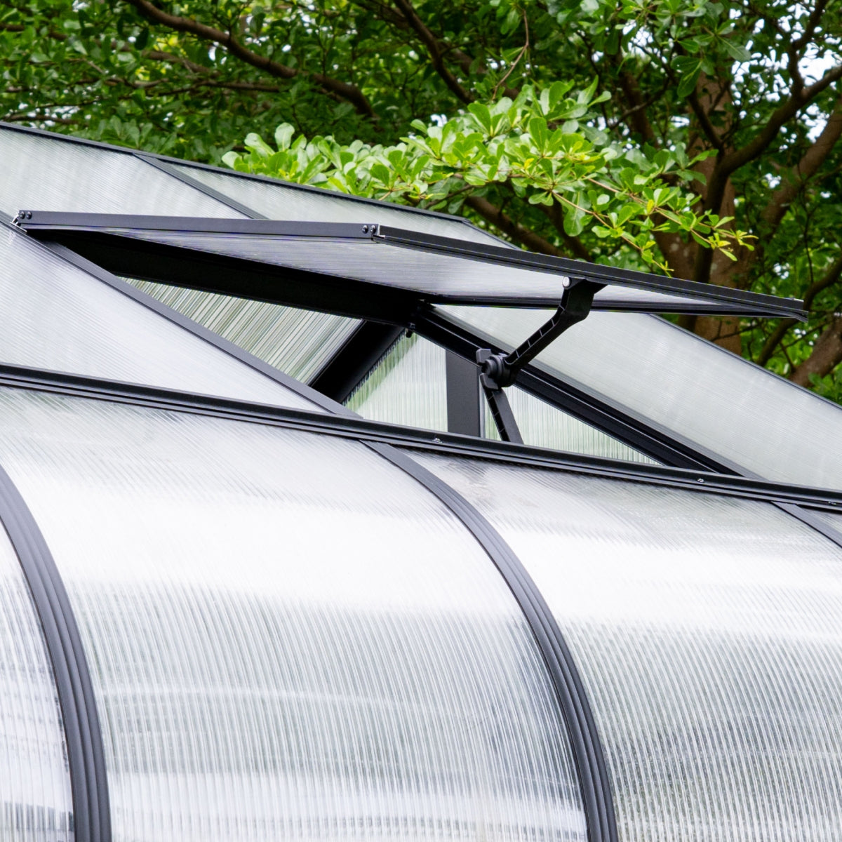 Vego | Pacific Greenhouse Kit 10ft 6in Wide