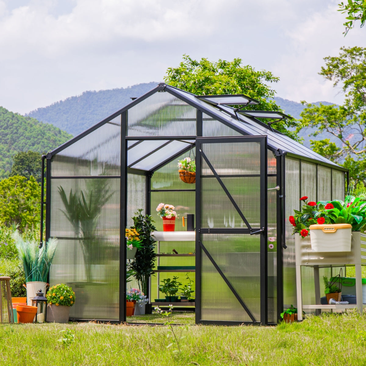 Vego | Junior Victorian Greenhouse Kit 8ft Wide