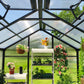 Vego | Junior Victorian Greenhouse Kit 8ft Wide