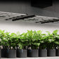 AC Infinity | IONFRAME EVO Series Full-Spectrum LED Grow Lights - MyGreenhouseStore.com