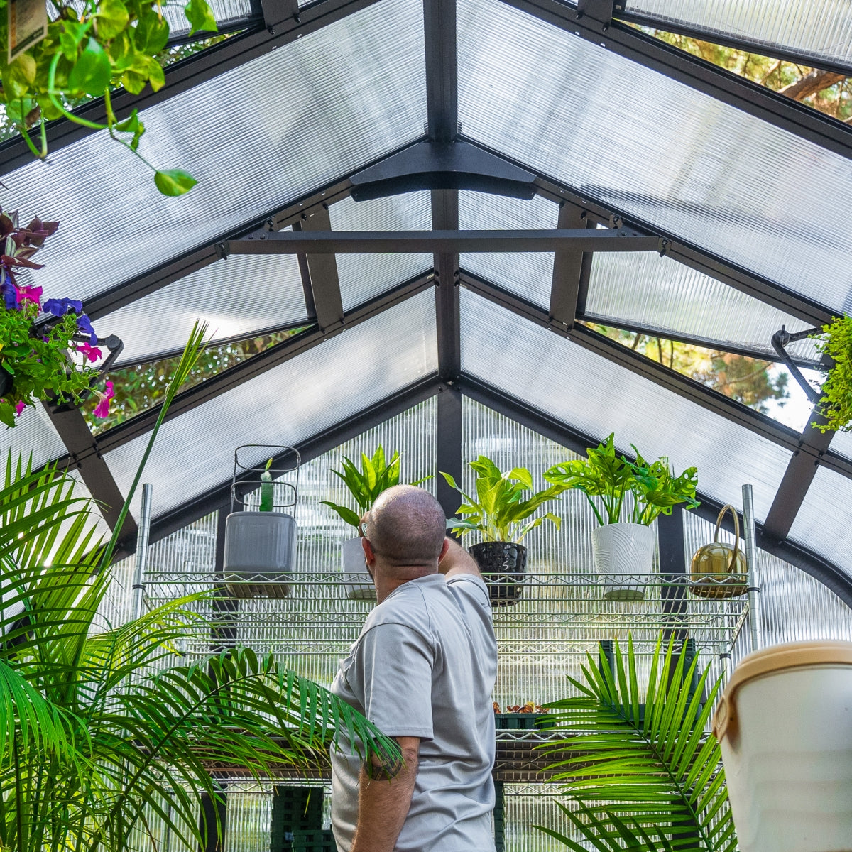 Vego | Pacific Greenhouse Kit 8ft 6in Wide