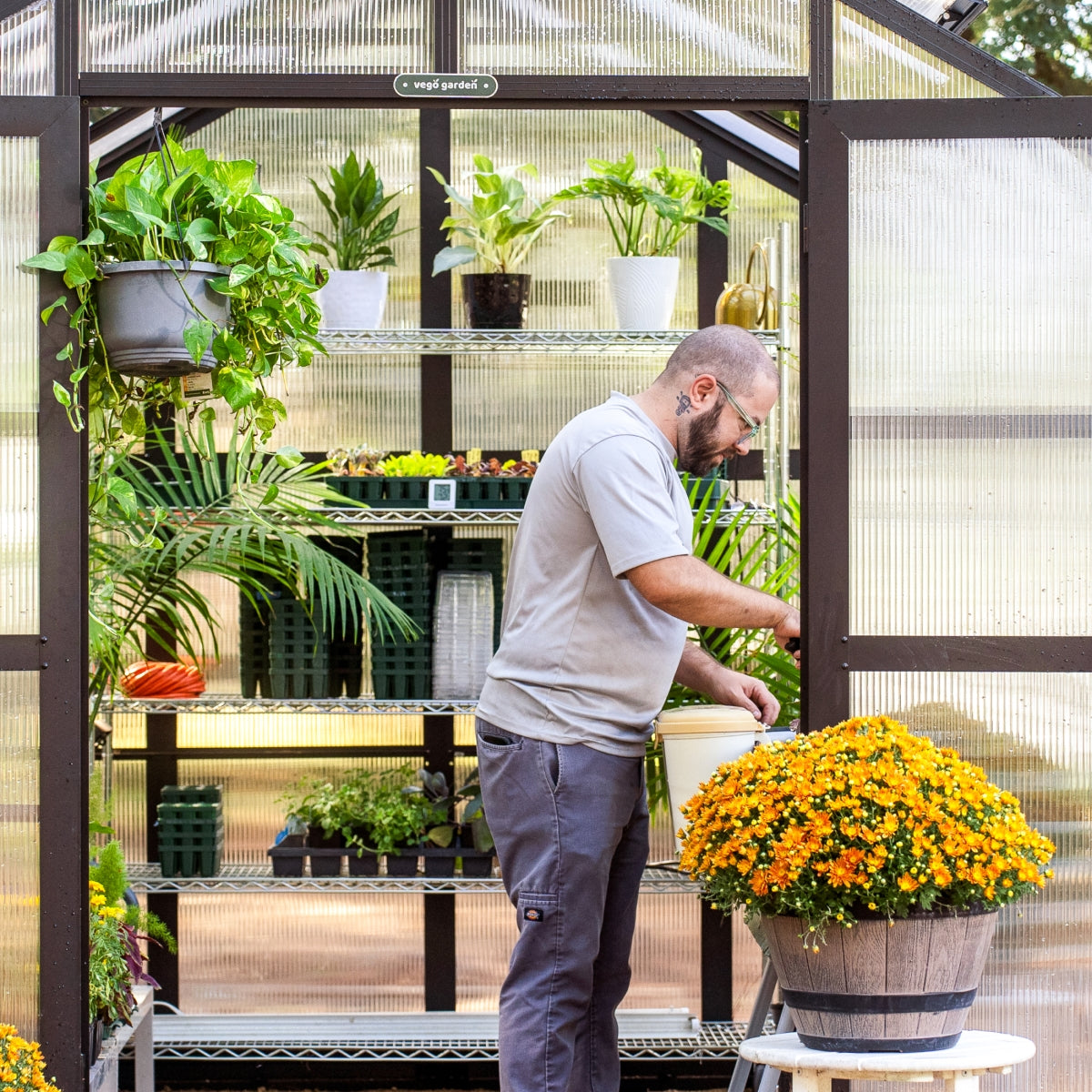 Vego | Pacific Greenhouse Kit 8ft 6in Wide