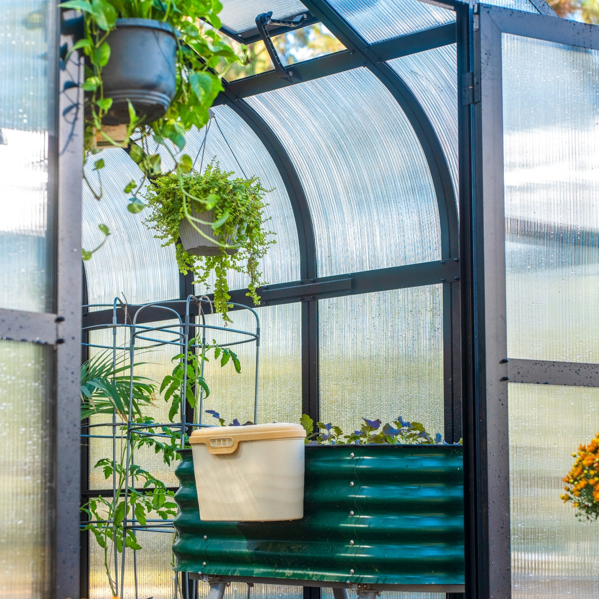 Vego | Pacific Greenhouse Kit 8ft 6in Wide