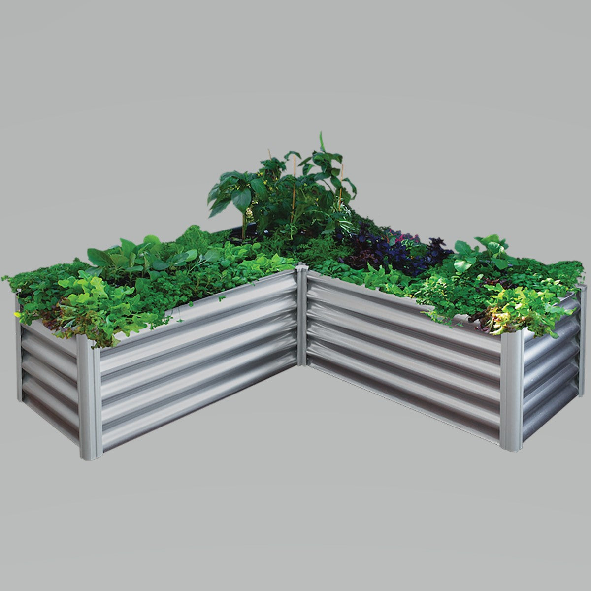RAISED GARDEN BED