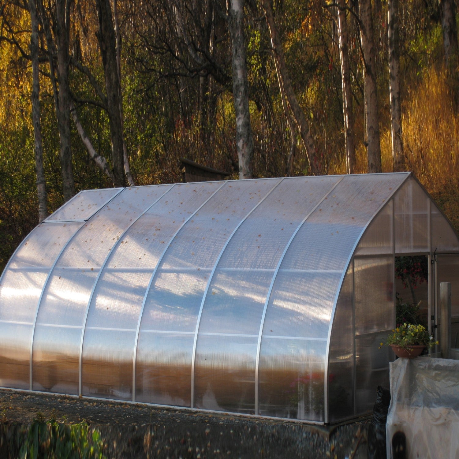 Hoklartherm | Riga Greenhouse Series, Premium German-Made Polycarbonat