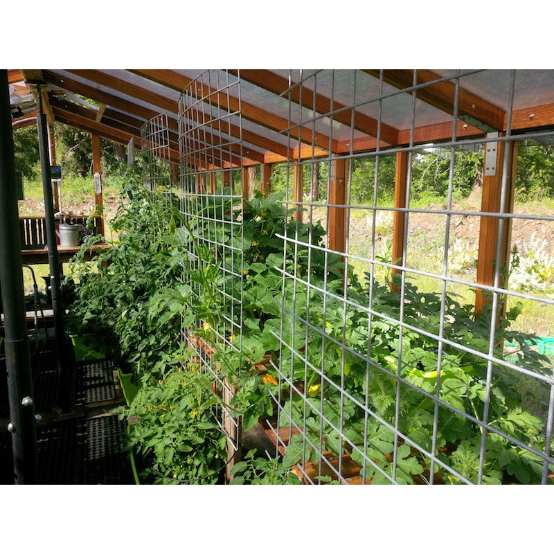 Santa Barbara | Deluxe Redwood Glass Greenhouse/Sunroom Premium Package With 3/16 inch Glass Glazing and Pre-assembled Panels