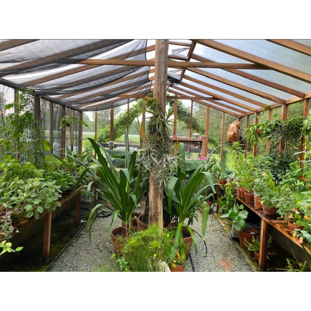glass house foir plants Santa Barbara