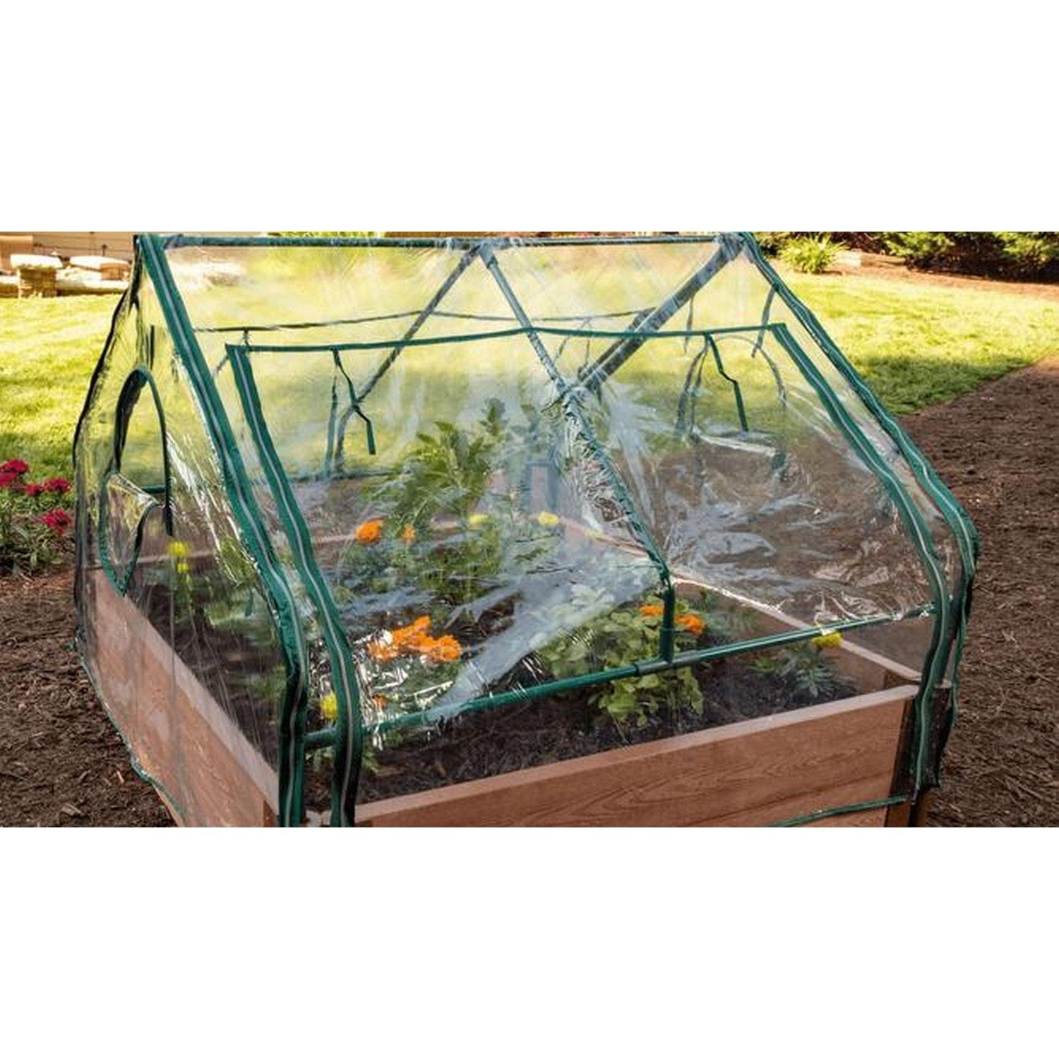 Frame It All Gardening Accessories Frame It All | Extendable Cold Frame Greenhouse 300001016