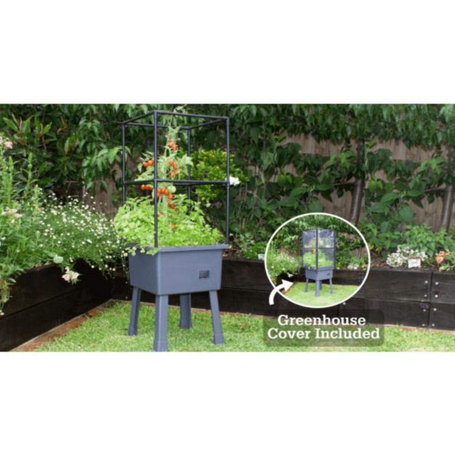 Frame It All Gardening Accessories Frame It All | Self-Watering Elevated Planter 15.75" X 15.75" X 63" With Trellis Frame And Greenhouse Cover 300001600