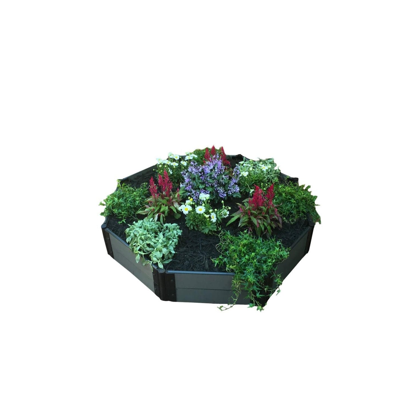 Frame It All Gardening Accessories Frame It All | Tool-Free Fort Jefferson Raised Garden Bed (Hexagon) 4' X 4' X 11" - Classic Sienna