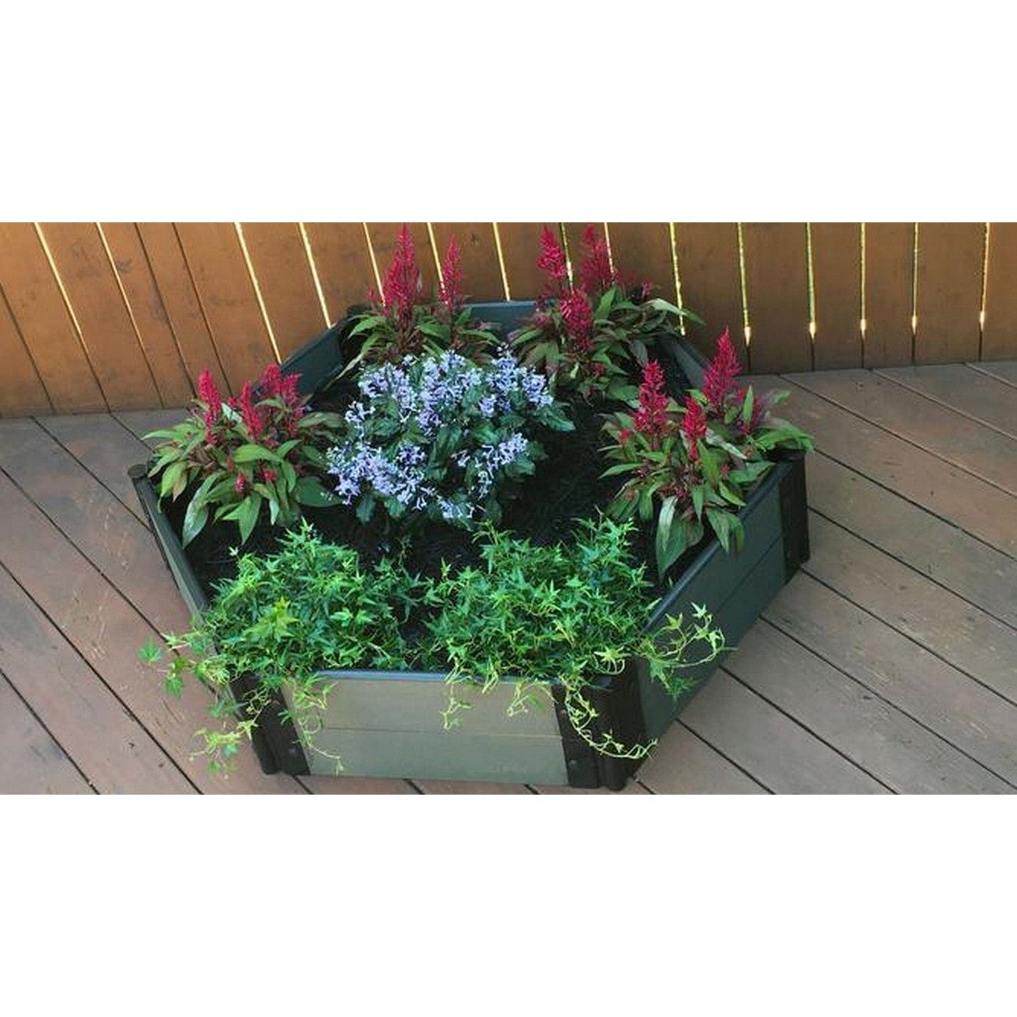 Frame It All Gardening Accessories Frame It All | Tool-Free Fort Jefferson Raised Garden Bed (Hexagon) 4' X 4' X 16.5" - Uptown Brown - 1" Profile 200003469