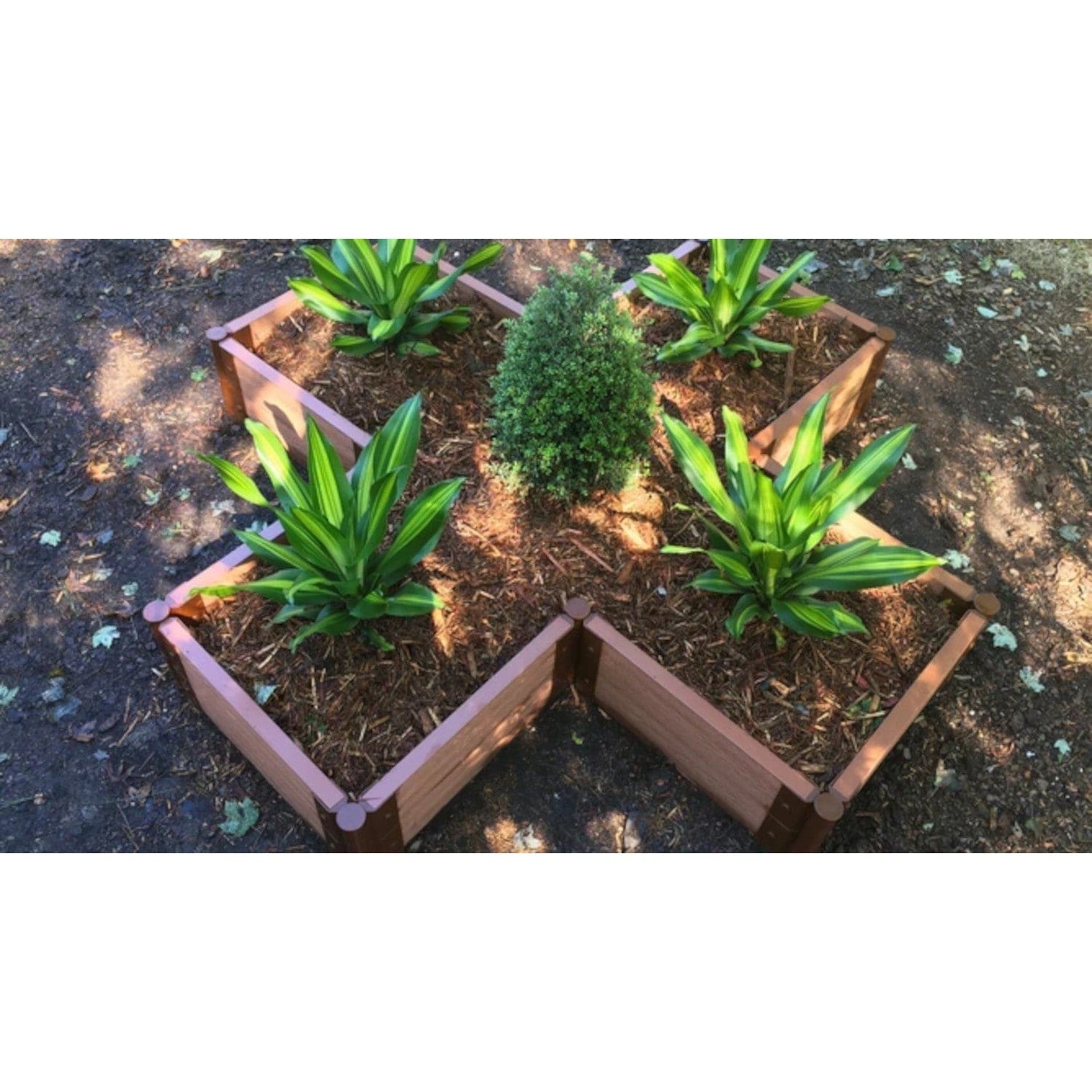 Frame It All Gardening Accessories Frame It All | Tool-Free Military Medallion Raised Garden Bed (Kit Cross) 6' X 6' X 11" - Classic Sienna - 2" Profile 200002487