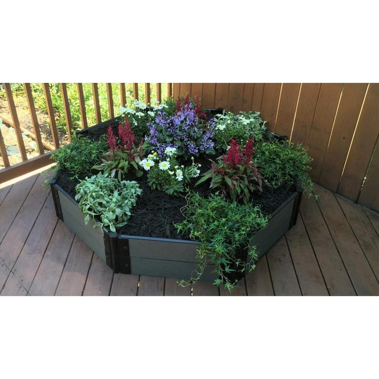 Frame It All Gardening Accessories Frame It All | Tool-Free St. John Baptistry Raised Garden Bed (Octagon) 5' X 5' X 11" - Classic Sienna - 2" Profile 200002462