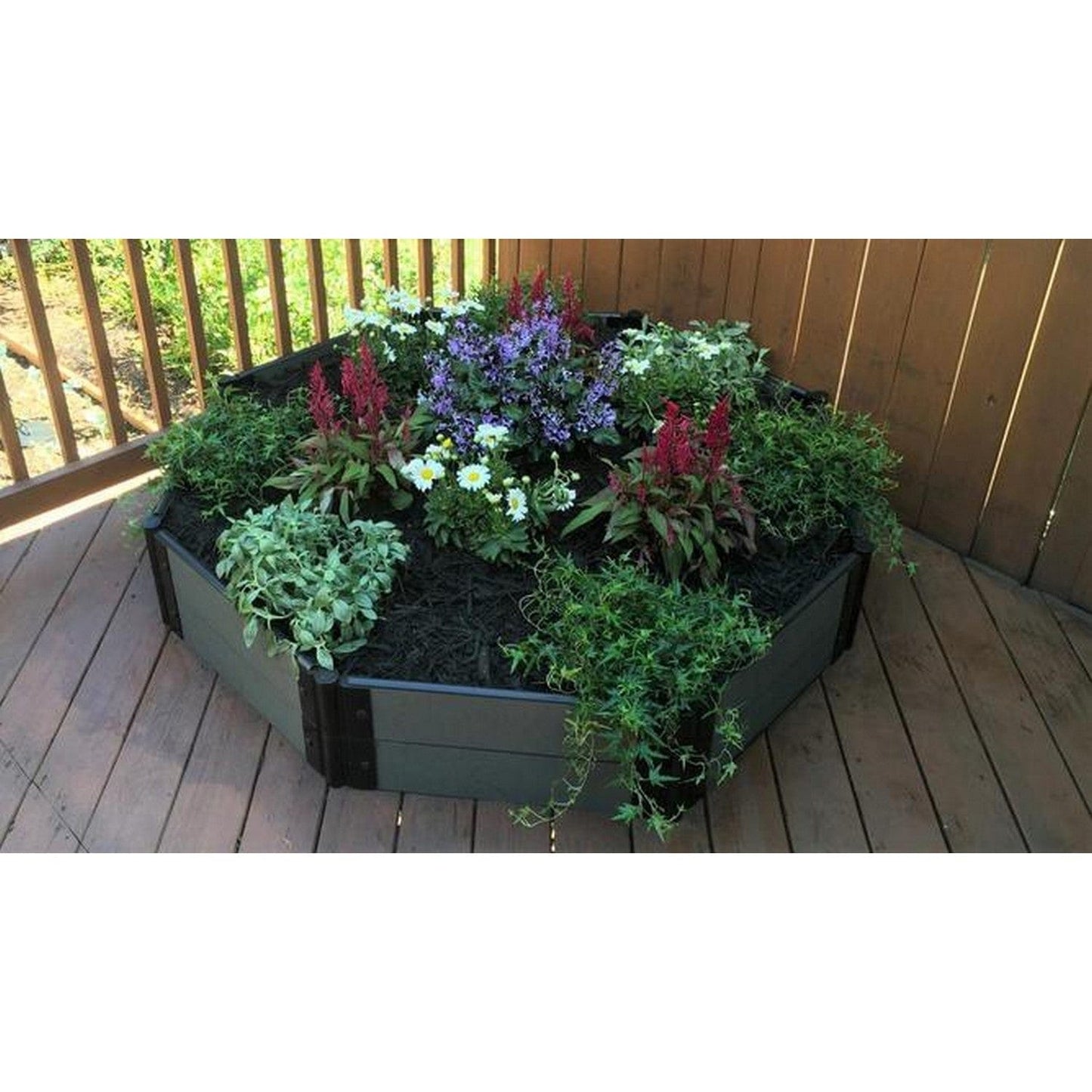 Frame It All Gardening Accessories Frame It All | Tool-Free St. John Baptistry Raised Garden Bed (Octagon) 5' X 5' X 16.5" - Classic Sienna - 2" Profile 200003462