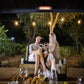 Palram - Canopia Gazebos Palram - Canopia | Dallas 6100 20x12 ft Gazebo HG9148