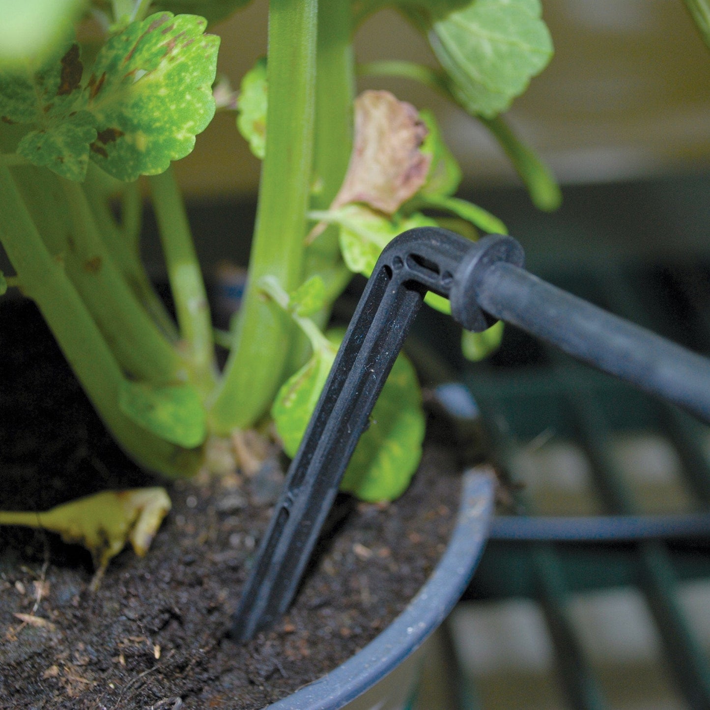 Palram - Canopia Drip Irrigation Kit - mygreenhousestore.com