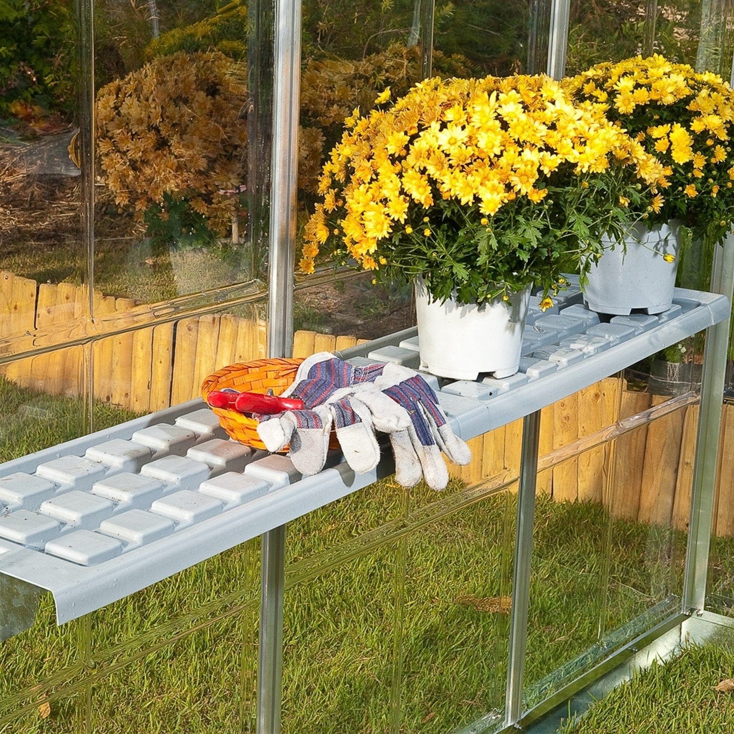 Palram - Canopia Greenhouse Shelf for Palram - Canopia Greenhouses - mygreenhousestore.com