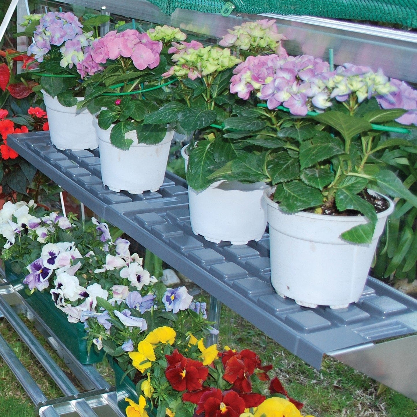 Palram - Canopia Greenhouse Shelf for Palram - Canopia Greenhouses - mygreenhousestore.com