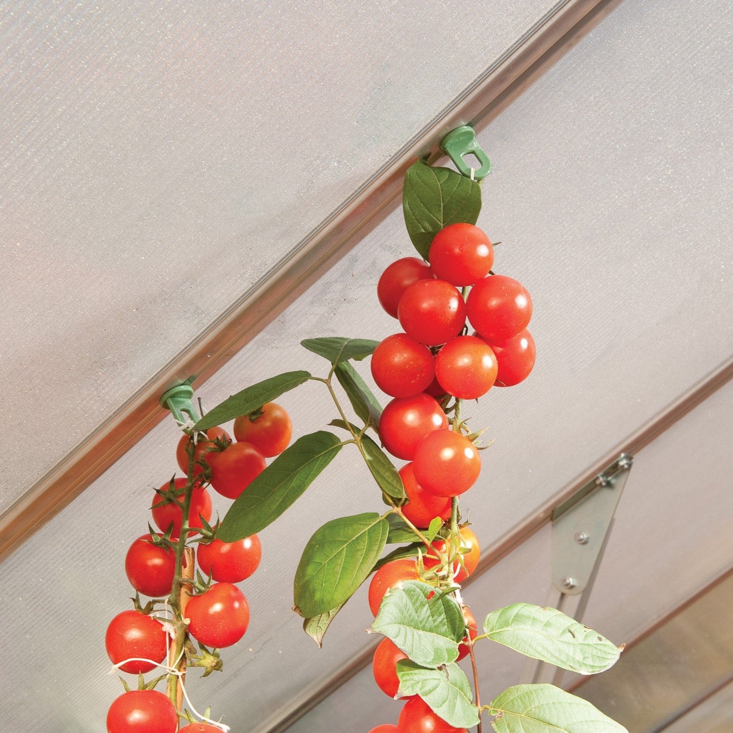 Palram - Canopia Plant Hangers for Palram - Canopia Greenhouses - mygreenhousestore.com