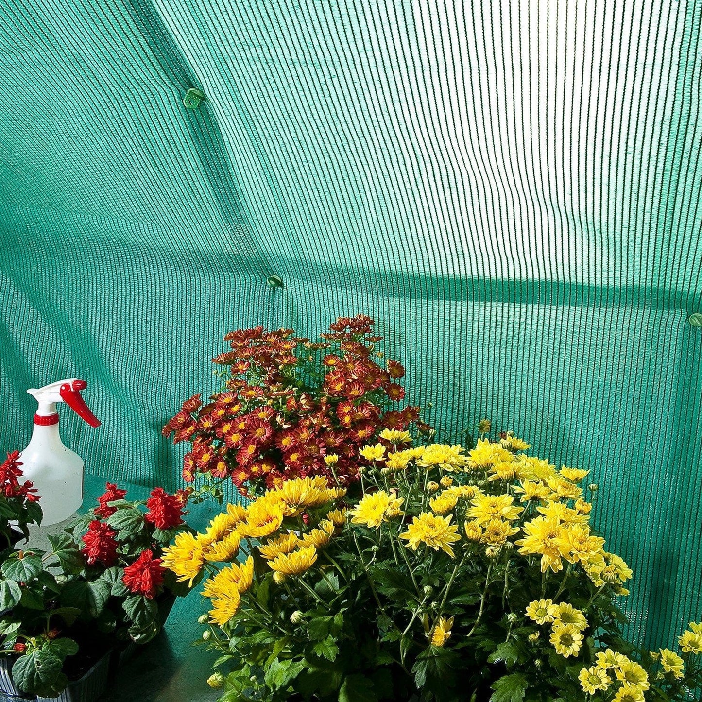 Palram - Canopia Shade Cloth for Palram - Canopia and Rion Greenhouses - mygreenhousestore.com