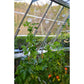 Palram - Canopia Greenhouse Accessories Palram - Canopia | Trellising Kit Pro for Palram - Canopia Greenhouses HG1024
