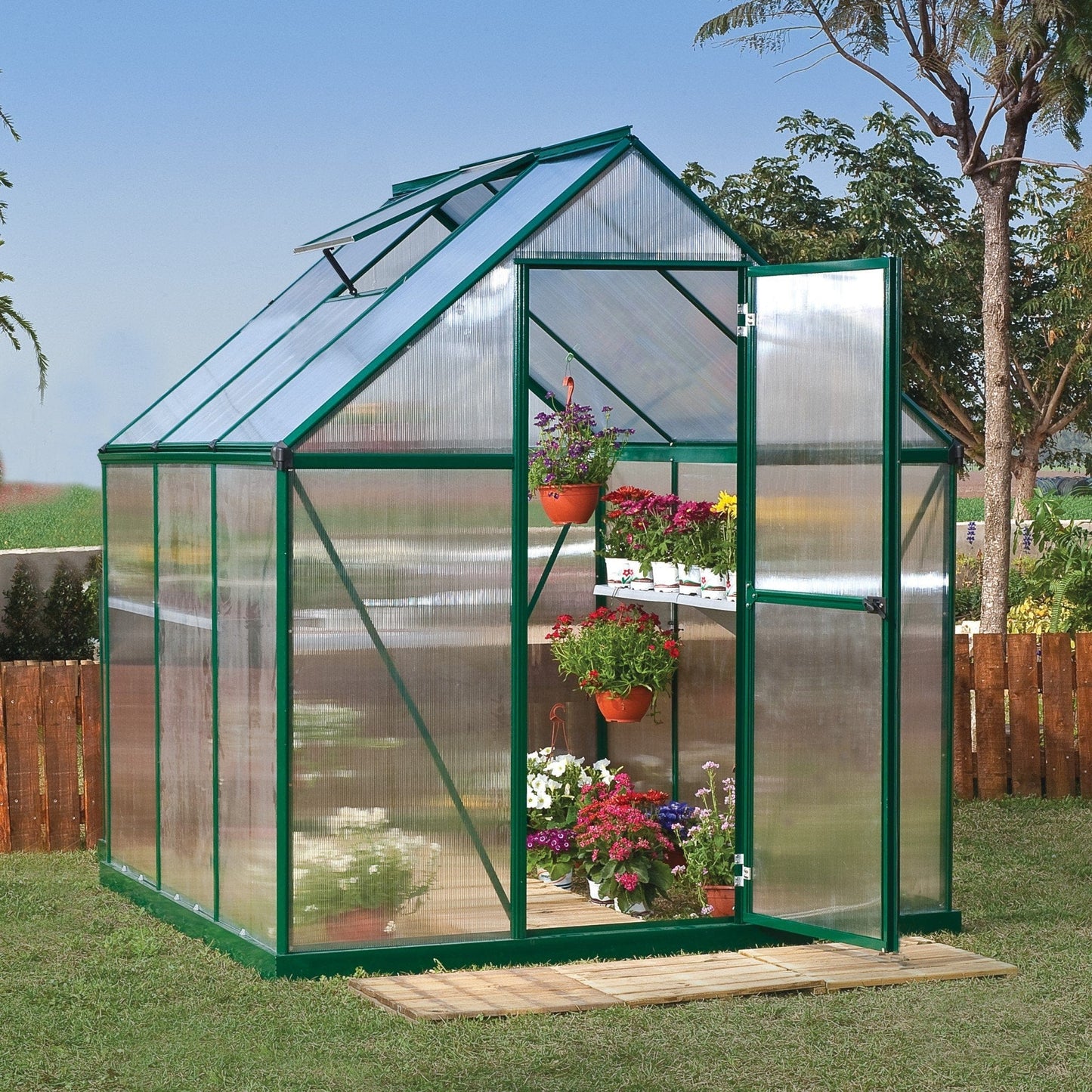 Palram - Canopia Mythos Greenhouse - mygreenhousestore.com