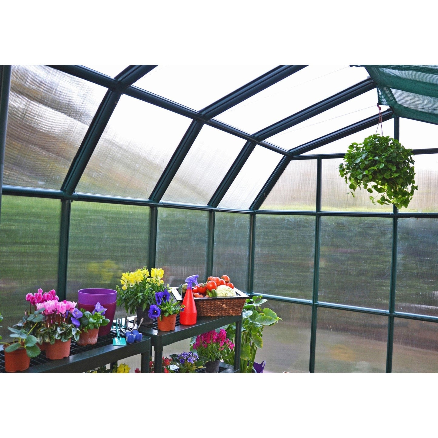 Palram - Canopia Grand Gardener Greenhouse - Twin Wall - mygreenhousestore.com