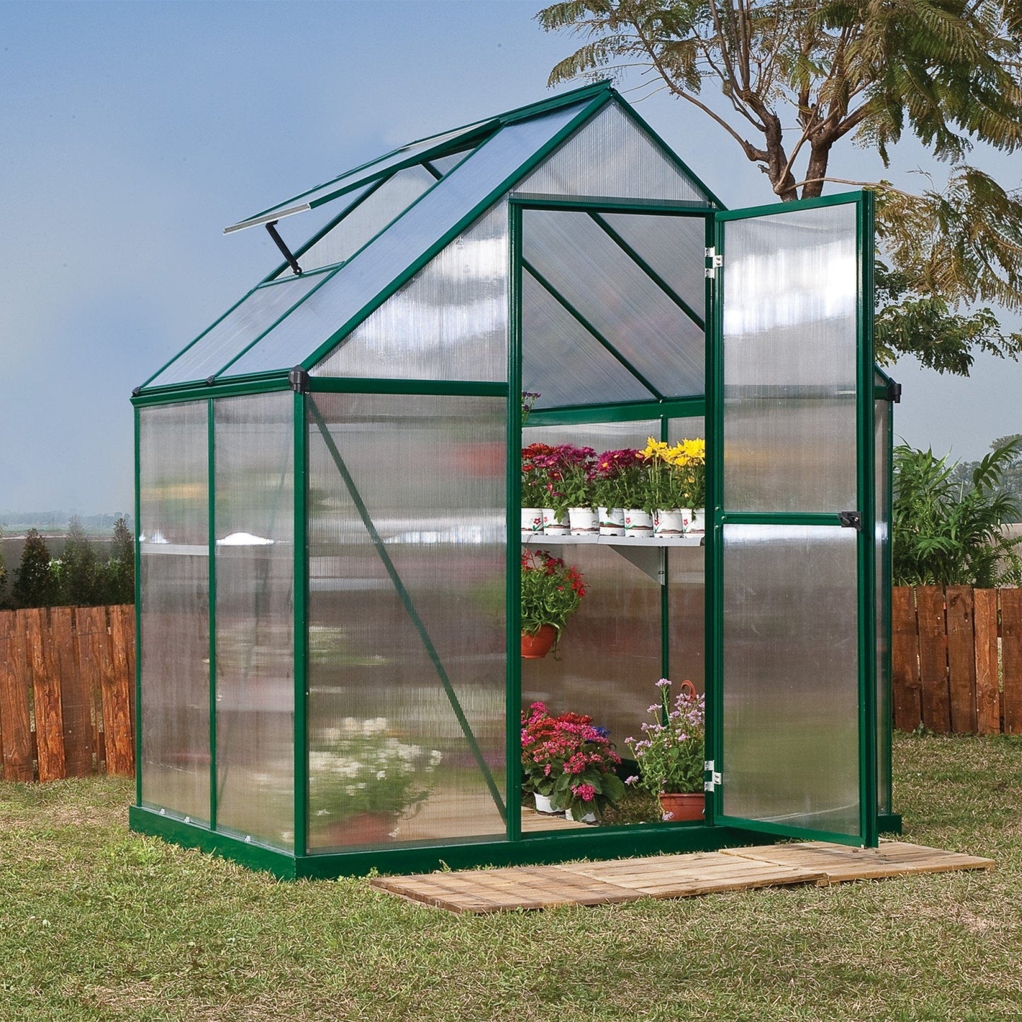 Palram - Canopia Mythos Greenhouse - mygreenhousestore.com