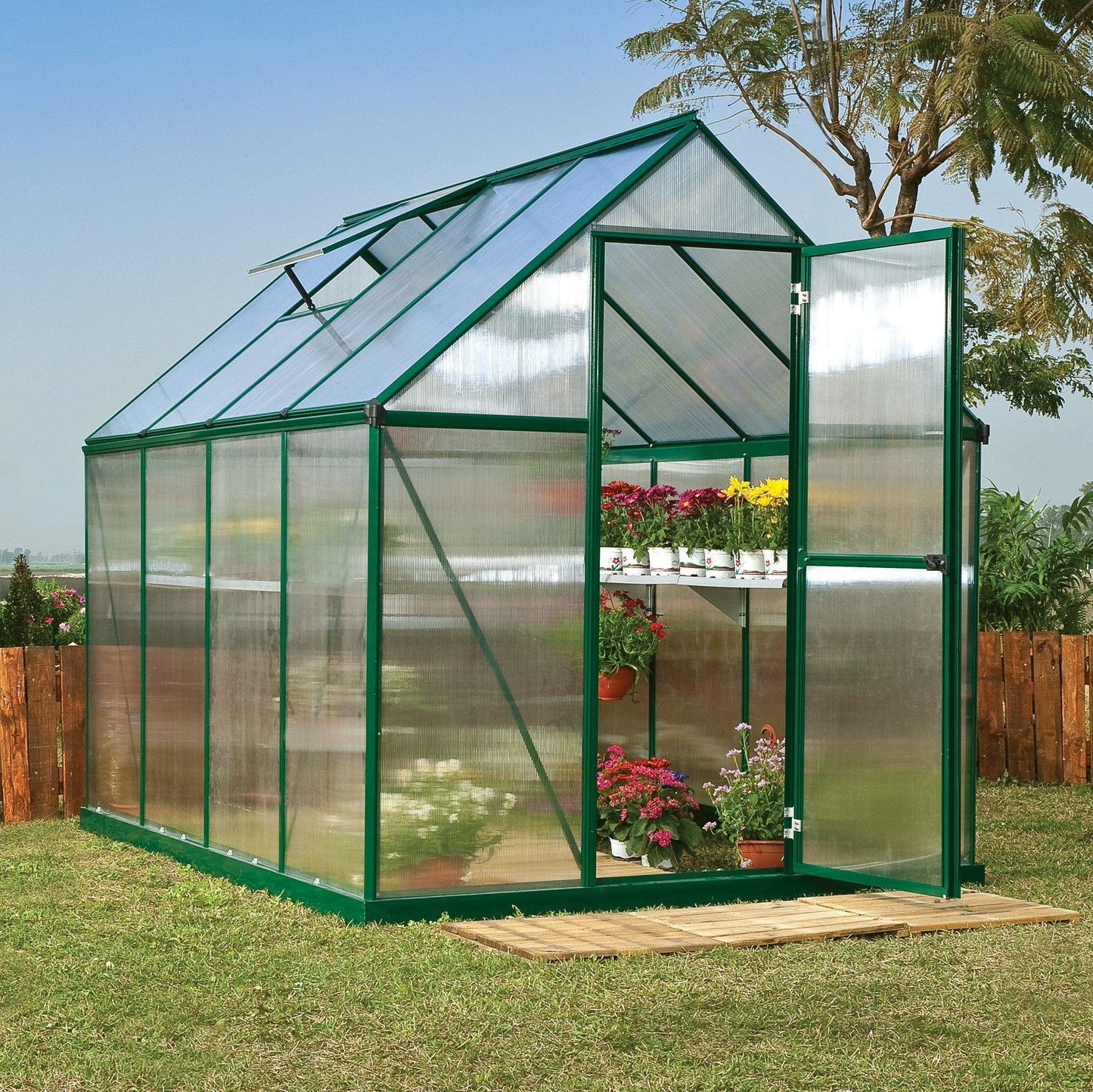 Palram - Canopia Mythos Greenhouse - mygreenhousestore.com