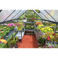 Palram - Canopia Greenhouses Palram - Canopia | Mythos Greenhouse 6x8 Ft - Gray HG5008Y