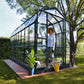 Palram - Canopia Greenhouses Palram - Canopia | Prestige 8x16 ft Clear Greenhouse Package HG7316C