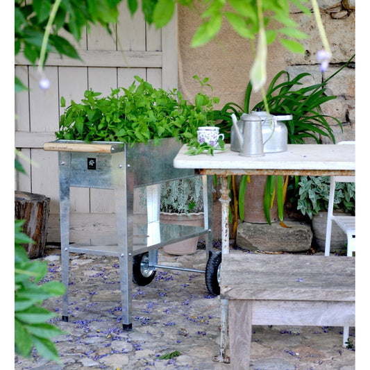 Palram - Canopia Herstera Garden Trolley Galvanized 8933801