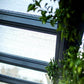Palram - Canopia Patio Cover Palram - Canopia | Stockholm 11x31 ft Patio Cover - Gray/Clear HG9466