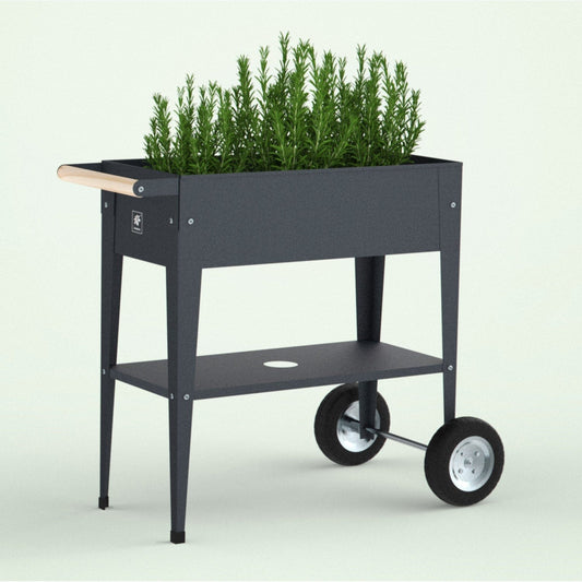 Palram - Canopia Planters Herstera Garden Trolley Anthracite HER1001
