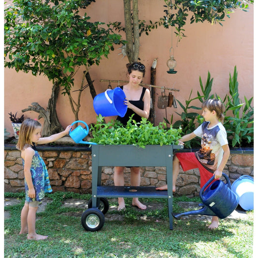 Palram - Canopia Planters Herstera Garden Trolley Anthracite HER1001