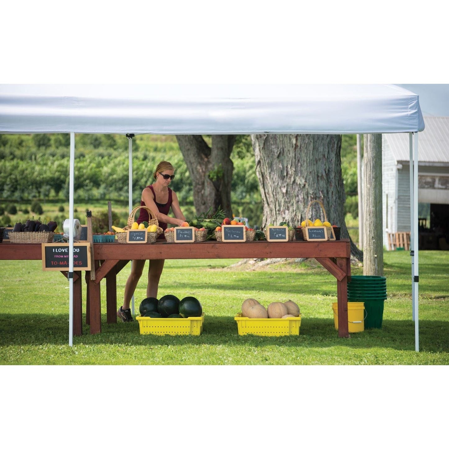 Quik Shade Pop-Up Canopies Quik Shade | Quik Shade | Commercial 10 x 15 ft White Pop Up Tent Canopy 167576DS